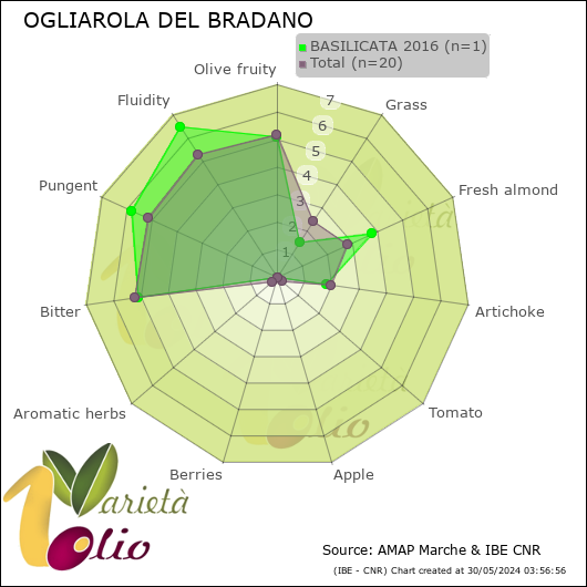 Profilo sensoriale medio della cultivar  BASILICATA 2016